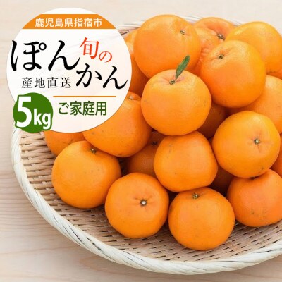 開聞岳の麓で育てた ぽんかん (A-293)