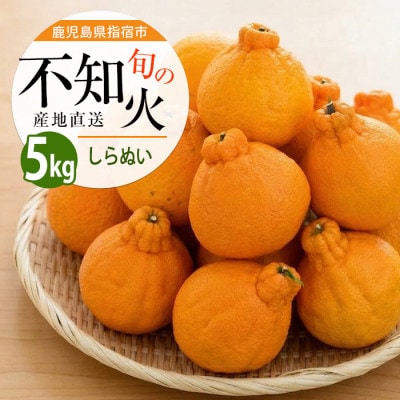 迫田果樹園自慢の 完熟 不知火 (しらぬい) 約5kg (IB064-006)