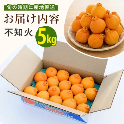 迫田果樹園自慢の 完熟 不知火 (しらぬい) 約5kg (IB064-006)