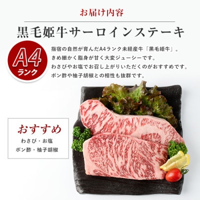 【指宿育ち】黒毛和牛　サーロインステーキ230g×2枚(IB029-004)