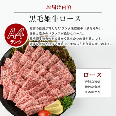 A4ランク未経産黒毛和牛盛り盛り焼肉三角バラ・肩ロースセット(指宿育ち)(IB029-005)