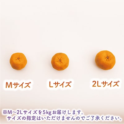 【2025年12月上旬～発送】鹿児島県指宿産 ポンカン 約5kg(岩崎農園/015-1892)