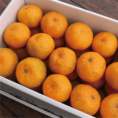 【2025年12月上旬～発送】鹿児島県指宿産 ポンカン 約5kg(岩崎農園/015-1892)