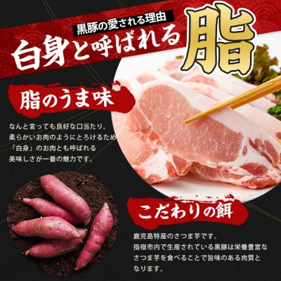 【指宿産 かごしま黒豚】ロースとんかつ用(約100g×8枚)(A-160)