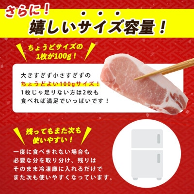 【指宿産 かごしま黒豚】ロースとんかつ用(約100g×8枚)(A-160)