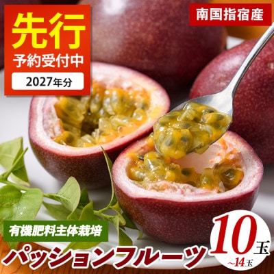 【2027年 発送】パッションフルーツ10玉～14玉(IB040-010)