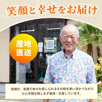 【2026年 発送】パッションフルーツ10玉～14玉(010-2058)