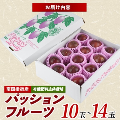 【2026年 発送】パッションフルーツ10玉～14玉(010-2058)