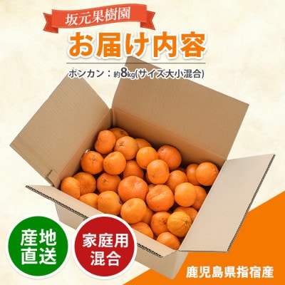 みかん農家 坂元さんちのポンカンご家庭用約8kg(A-104)