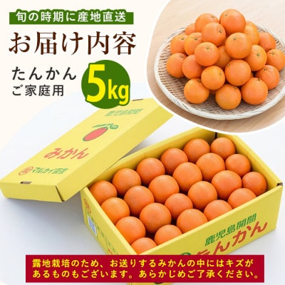 たんかん 約5kg (IB064-001)