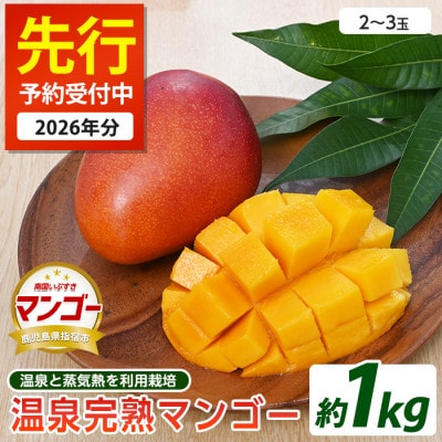 【2026年 発送】温泉完熟マンゴー 約1kg(022-1765)