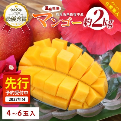 【2027年発送】鹿児島県いぶすき産温泉完熟マンゴー約2kg4～6個(IB057-002)
