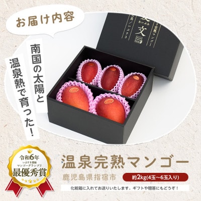 南国いぶすきの温泉熱で育てた甘くて上品な温泉完熟マンゴー約2kg4～6個(049-1754)