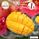 【2025年 発送】【訳あり】鹿児島県いぶすき産 温泉完熟マンゴー約1kg(016-1750)