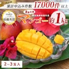 【2025年 発送】【訳あり】鹿児島県いぶすき産 温泉完熟マンゴー約1kg(016-1750)