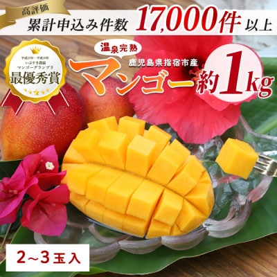 【2025年 発送】【訳あり】鹿児島県いぶすき産 温泉完熟マンゴー約1kg(016-1750)