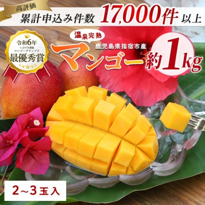 【2025年 発送】【訳あり】鹿児島県いぶすき産 温泉完熟マンゴー約1kg(016-1750)