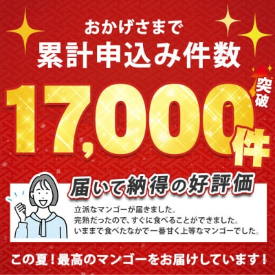 【2025年 発送】【訳あり】鹿児島県いぶすき産 温泉完熟マンゴー約1kg(016-1750)