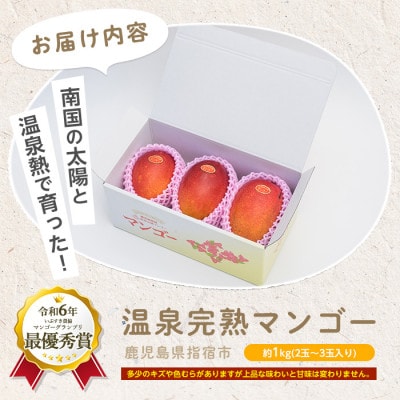 【2025年 発送】【訳あり】鹿児島県いぶすき産 温泉完熟マンゴー約1kg(016-1750)
