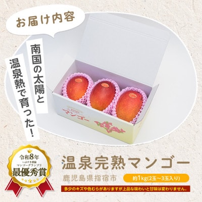 【2026年発送】訳あり 鹿児島県いぶすき産温泉完熟マンゴー約1kg(IB057-001)