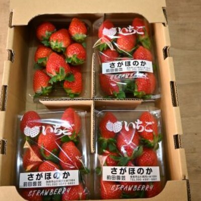 指宿産いちご さがほのか約250g 4パック 前田園芸 A 290 お礼品詳細 ふるさと納税なら さとふる