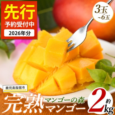 【2026年 発送】しあわせ完熟マンゴー3～6玉入り(044-1768)