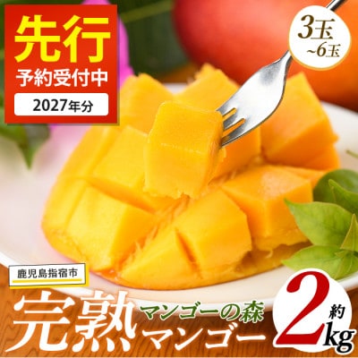 【2027年 発送】しあわせ完熟マンゴー3～6玉入り(IB040-002)