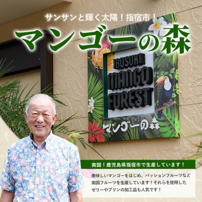 【2026年 発送】しあわせ完熟マンゴー3～6玉入り(044-1768)