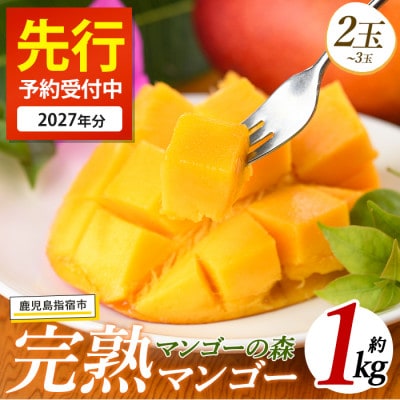 【2027年 発送】しあわせ完熟マンゴー2～3玉入り(IB040-001)