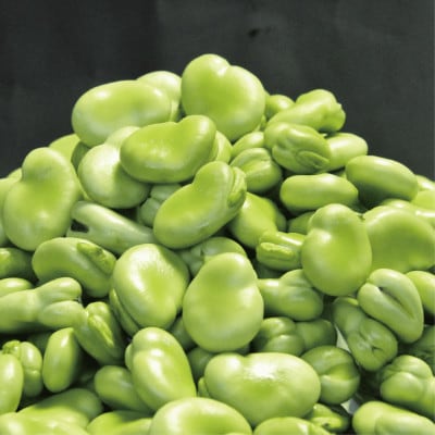 【2026年1月中旬～発送】さや付きそら豆約1.5kgとスナップエンドウ約1kgセット(A-207)