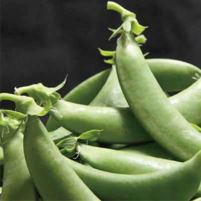 【2026年1月中旬～発送】さや付きそら豆約1.5kgとスナップエンドウ約1kgセット(A-207)