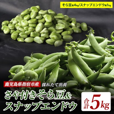 【2026年1月中旬～発送】そら豆さや付約4kgとスナップエンドウ約1kgセット(022-1213)