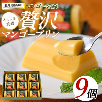 マンゴー農家の贅沢マンゴープリン9個入(マンゴーの森)A-309