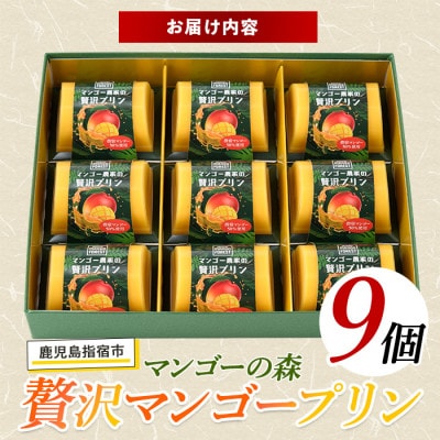 マンゴー農家の贅沢マンゴープリン9個入(マンゴーの森)A-309