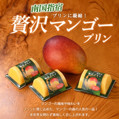 マンゴー農家の贅沢マンゴープリン9個入(マンゴーの森)A-309