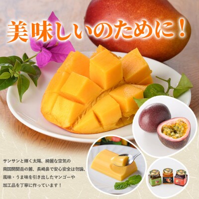 マンゴー農家の贅沢プリン6個入とプレミアムゼリー3個入セット(マンゴーの森)A-310