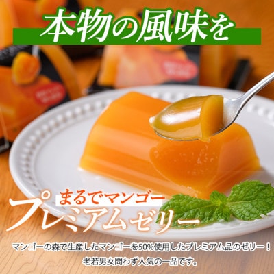 マンゴー農家の贅沢プリン6個入とプレミアムゼリー3個入セット(マンゴーの森)A-310