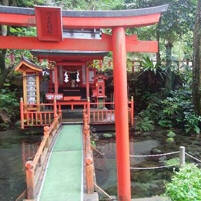 指宿温泉サイダー24本(023-1268)