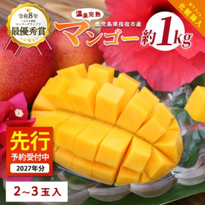 【2027年発送】鹿児島県いぶすき産 温泉完熟マンゴー約1kg(IB057-003) | ふるさと納税のお礼品