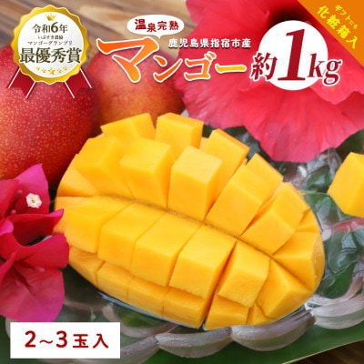 【2025年 発送】鹿児島県いぶすき産 温泉完熟マンゴー約1kg(022-1752)