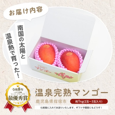 【2026年発送】鹿児島県いぶすき産 温泉完熟マンゴー約1kg(IB057-003)