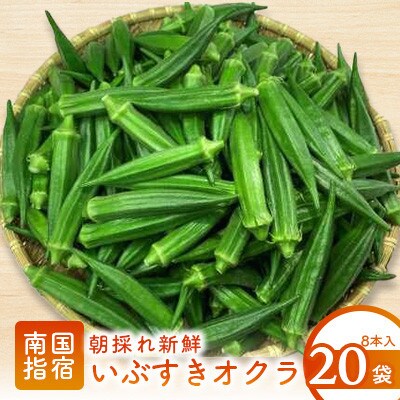 【2024年6月中旬～発送】夏の元気の源! 朝採れ新鮮いぶすきオクラ8本入り20パック(A-323)