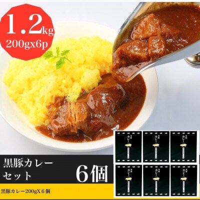 黒豚カレーセット200g×6個(水迫畜産) [A-297]