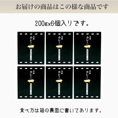 黒豚カレーセット200g×6個(水迫畜産) [A-297]