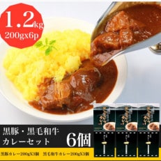 黒豚カレー200g×3個 黒毛和牛カレー200g×3個(A-298)