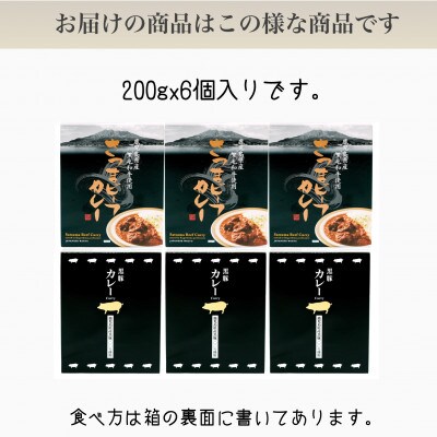 黒豚カレー200g×3個　黒毛和牛カレー200g×3個(A-298)