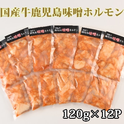 鹿児島県産国産牛味噌ホルモン120g×12パック(水迫畜産) [A-300]