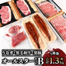 鹿児島のうなぎ・黒毛和牛・黒豚オールスターセットB(E-047)