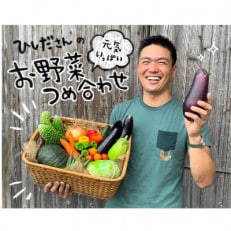 指宿産 ひしださんの元気いっぱいお野菜つめ合わせ (10種類以上) A-334