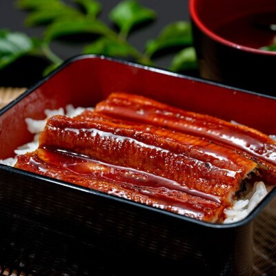 鹿児島県産うなぎハーフ6袋+きざみ4袋(奈良)C-127